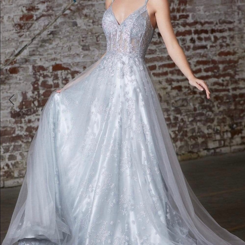 Cinderella divine silver PROM dress